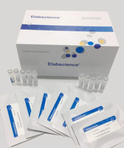 KIT TEST NHANH PHÁT HIỆN KHÁNG NGUYÊN ASFV - DỊCH TẢ LỢN CHÂU PHI