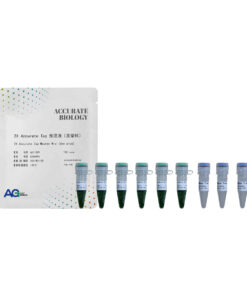 2X Accurate Taq Master Mix (dye plus)