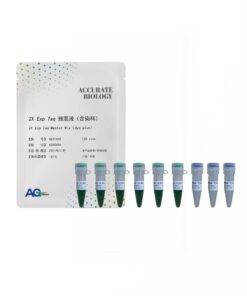 2X Exp Taq Premix Ver.2 (with dye)