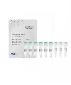 2X L-Exp Taq Master Mix