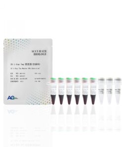 2X L-Exp Taq Master Mix（dye plus）