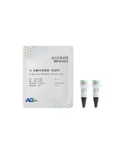 2X Multiplex PCR Master Mix(dye plus)