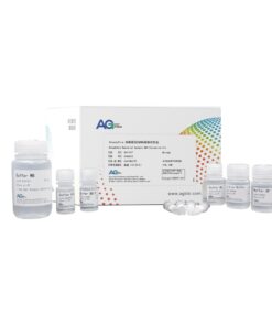 SteadyPure Bacterial Genomic DNA Extraction Kit