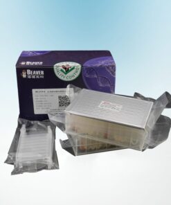 BeaverBeads™ Viral DNA/RNA Kit