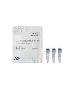 Evo M-MLV Reverse Transcriptase