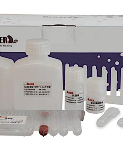 BeaverBeads™ Circulating DNA Kit