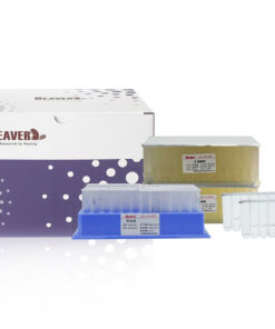 BeaverBeads™ Viral DNA/RNA Kit